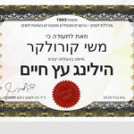 משי קורולקר - ייעוץ ואימון אישי וזוגי בחיפה והקריות ובאונליין. תעודה הילינג