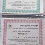 מיה לוי - טיפול רגשי לנשים – ריברסינג - נשימה מודעת ברמת גן - תמונה 8