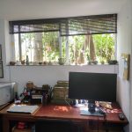 פרופ' ארנון לוי פסיכולוג קליני בגבעתיים