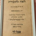 אילנית חיון - בידיים טובות – מודיעין מכבים רעות - תמונה 10