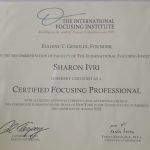 שרון עברי - טיפול בנשימה מעגלית בצפון - תמונה 7