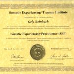 אורלי שטיינבך - טיפול SE - טיפול בטראומה עם שיטת החוויה הסומטית SE בתל אביב תמונה 2