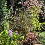 .....כשאני מתבוננת בטבע ... הטבע מגלם סודות של אמת.. .פרק תהילים נפתח.... אשרי האיש אשר לא הלך בעצת רשעים ובתורתו יהגה יומם ולילה והיה כעץ על פלגי מים.... עץ!!... למה עץ? ....התפתחות של עץ...זרע באדמה שנרקב וניבט...שבכוח התזונה שמקבל מהאדמה והמים...האויר והאור...עולה וצומח...פורץ את האדמה...ומתעלה וצומח כלפי מעלה...במקביל למטה...השורשים בו הולכים ומתעמקים באדמה...מתרחבים ומתעבים ....ארץ ושמיים....כבר....יש נשימה...אויר חמצן...הלאה...העץ מתפתח. לצמרת שמוציאה עלים...עם אור השמש...הופך לדבר מרהיב של הודיה כלפי שמיים...מודה על החסד....מה זה נישואין בראים....הייתכן ויהיה זה לצד זה 2 עצים חזקים...אנחנו רואים את זה מול העניים כל יום....יכולים לצמוח זה לצד זה...בהחלט...מה נקודת ההשקה שלהם....השורשים...מה נסתר ...איפה מתקיים החיבור....למטה בשורש...שורש יכול לגעת בשורש של עץ אחר...בהחלט...אבל במקביל שורש בנפרד. יונק את חיותו מהשורש של עצמו....סוד....פלא פלאים