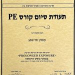 ולדיסלב קסלין – טיפול רגשי בפסיכותרפיה - CBT וביו-פידבק - תמונה 10