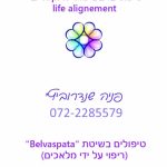 פניה שנדרוביץ – טיפול רגשי בשיטת איזון חיים - תמונה 5