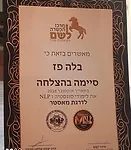 בלה בלור פז - טיפול רגשי ופסיכותרפיה - תעודה 9