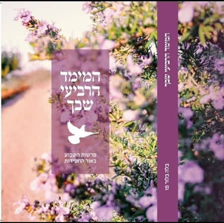 בלה בלור פז – טיפול רגשי ופסיכותרפיה