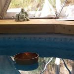 מרחב המים של דלילה - הידרותרפיה ושיטת פאולה תמונה 11