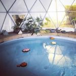 מרחב המים של דלילה - הידרותרפיה ושיטת פאולה תמונה 4