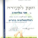 שני גולדפרב – שקט – דרך גוף, רגש ורפלקסולוגיה ברמת הגולן – תמונה 10