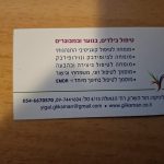 ד''ר יגאל גליקסמן Ph.D - מומחה לטיפול קצר מועד לבעיות רפואיות ופסיכולוגיות תמונה 10