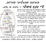 אריק איזנמן - מרכז מרכבה לאומנויות התנועה והטיפול - תרגול ולימוד טאי צ'י וצ'י קונג - תמונה 2