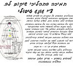 אריק איזנמן - מרכז מרכבה לאומנויות התנועה והטיפול - תרגול ולימוד טאי צ'י וצ'י קונג - תמונה 3