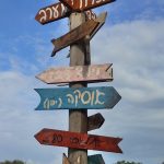 שיר פרידמן - הדרך הטבעית לריפוי - קליניקה לנטורופתיה ורוקחות טבעית - תמונה 14