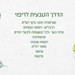 שיר פרידמן - הדרך הטבעית לריפוי - קליניקה לנטורופתיה ורוקחות טבעית - תמונה 3