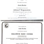 עמיר קרון - חתירה להצלחה - תמונה 3