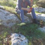 חיה דור - יעוץ זוגי והדרכת הורים בעמק המעיינות