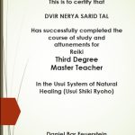 דביר נריה שריד טל - מטפל רגשי הוליסטי בחולון ואונליין - תמונה 2