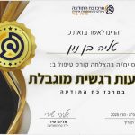מטפלת ריגשית בחיפה - טליה בן נון