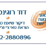 דוד רוגינסקי - דיקור סיני ושיאצו, מורה לטאי-צ'י וצ'י-גונג בבנימינה - כרטיס ביקור