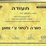 דוד רוגינסקי - דיקור סיני ושיאצו, מורה לטאי-צ'י וצ'י-גונג בבנימינה - תמונה 3